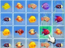 Fishing Puzzles